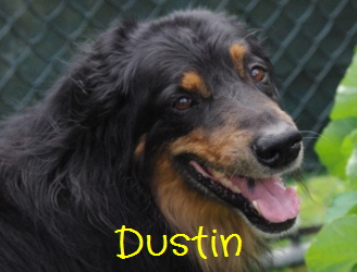 Dustin 07.2016