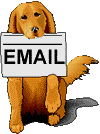 dogmail_9_2kb